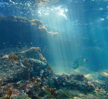 continuously working to minimise the environmental impact of its operations and the activities