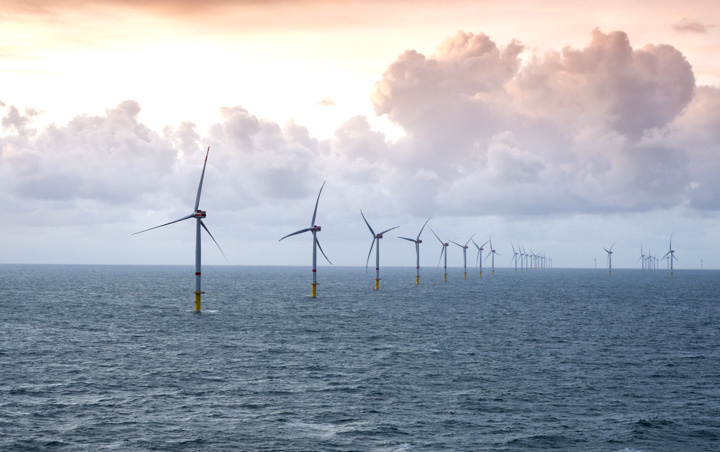 Sustainability report icon