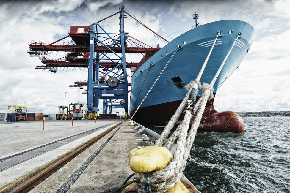 Sector Ports and Terminals